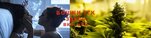 гидра Аркадак