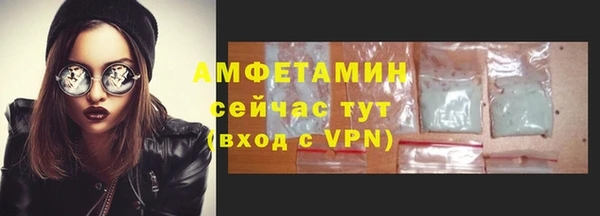 гидра Аркадак