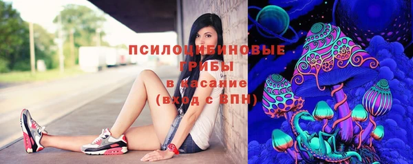 гидра Аркадак
